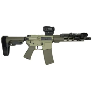 Olive drab head to toe, receiver, handguard, brace and furniture all matched. The quietest build in the bundle line and the one that looks least like a custom gun.